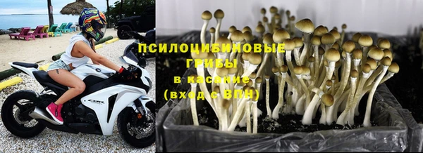 ECSTASY Балабаново