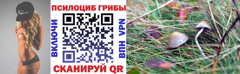 Псилоцибиновые грибы прущие грибы Первомайск